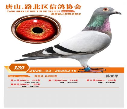 �ر��Ĺظ���120��