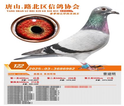 �ر��Ĺظ���122��