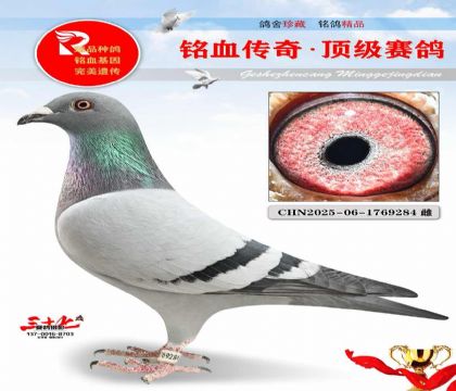 ������ֱ�ӡ�������ƽ��
