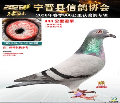 800�����Ǿ�