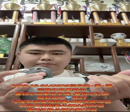 �����ȶ������ǲ��ˡ����ض�˫�ؽ����ۡ�X�����ض�����Ů