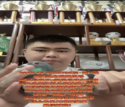 ����ӮǮ�����������ϲ�����쫷�š�ֱ��X��쫷�š�ֱŮ