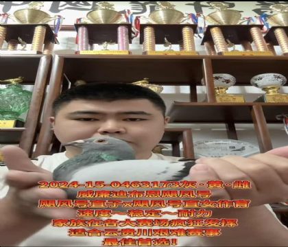 ����ӮǮ�����������ϲ�����쫷�š�ֱ��X��쫷�š�ֱŮ