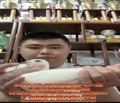 �������Ǹ�ҵ��һ����1491ֱ��X�ǳ��ֱŮ����