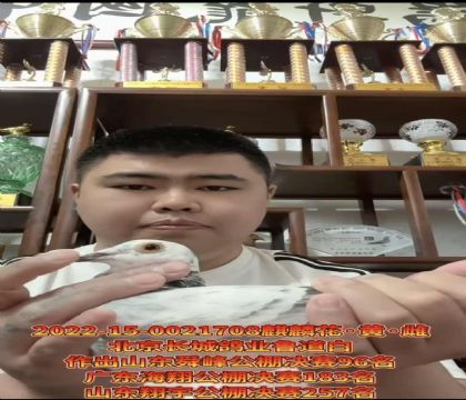 �������Ǹ�ҵ��һ����1491ֱ��X�ǳ��ֱŮ����