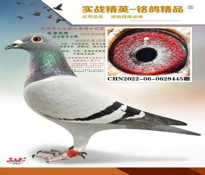 �����ŷ����俨�ո���
