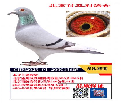 ����15729����ȫƽ��36