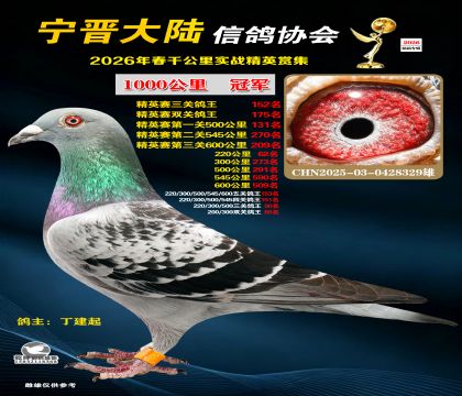ǧ����ھ�