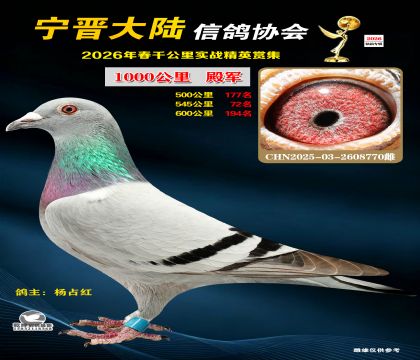 ǧ����4��