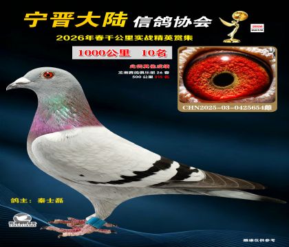 ǧ����10��