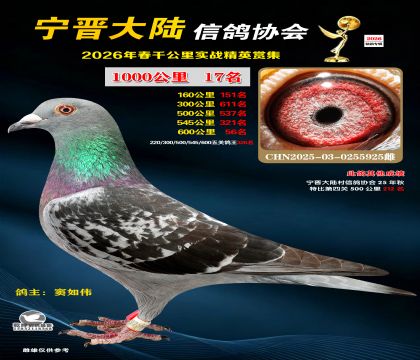ǧ����17��