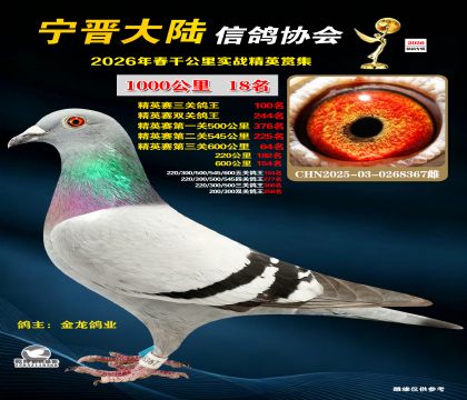 ǧ����18��