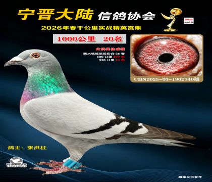 ǧ����20��