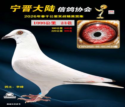 ǧ����23��