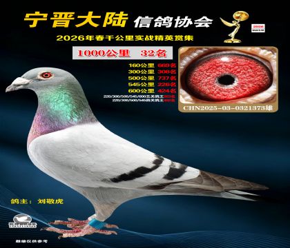 ǧ����32��
