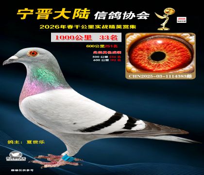 ǧ����33��