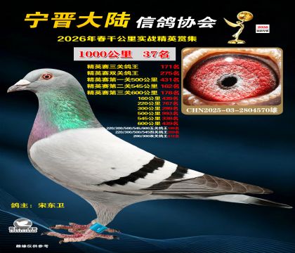 ǧ����37��
