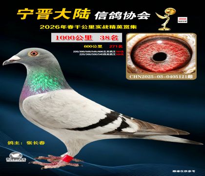 ǧ����38��
