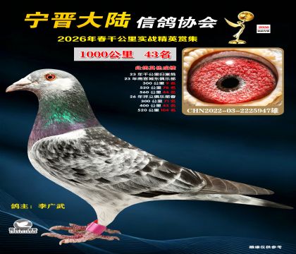 ǧ����43��