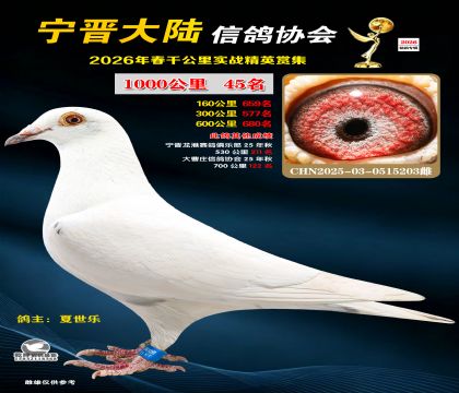 ǧ����45��