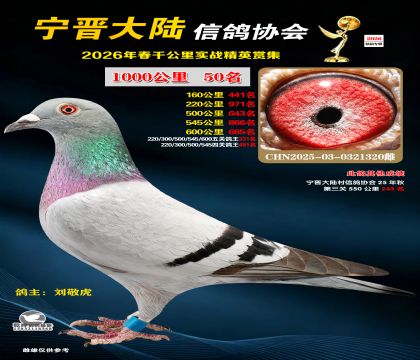 ǧ����50��