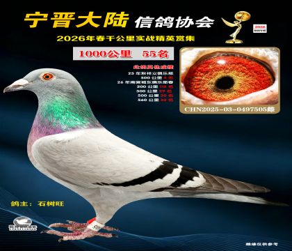 ǧ����55��
