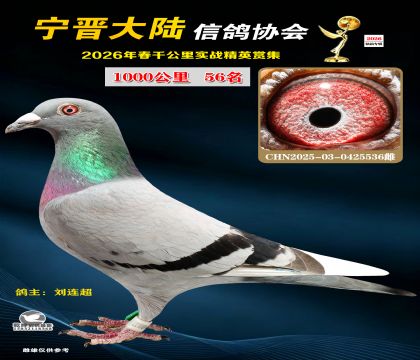 ǧ����56��