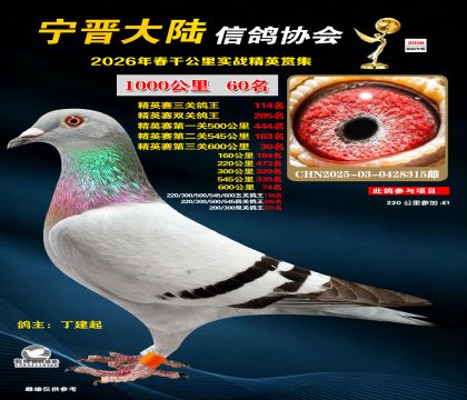 ǧ����60��