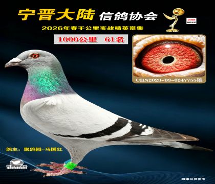 ǧ����61��