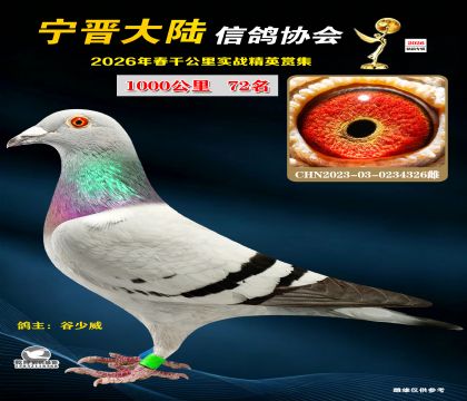 ǧ����72��