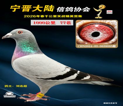 ǧ����77��