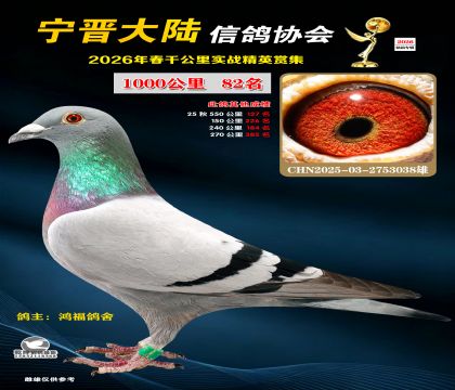 ǧ����82��