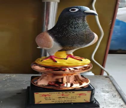 ��Ӣ������