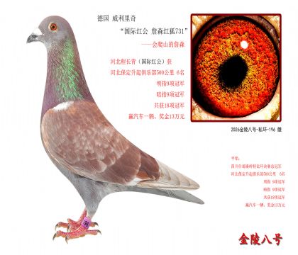 4���¹� �������桰���ʺ칫 ղɭ���731��-����ɽ��ղɭ