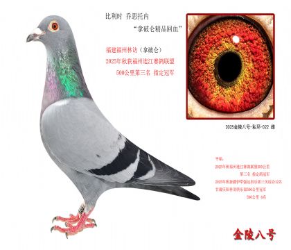 5������ʱ ��˼���ڡ������ؾ�Ʒ��Ѫ��