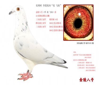7�� ����ʱ ��˼���ڡ��� ��ū��