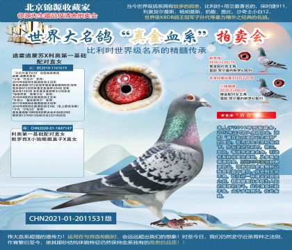 �ϻ�������X���µ�һ�������ֱŮ
