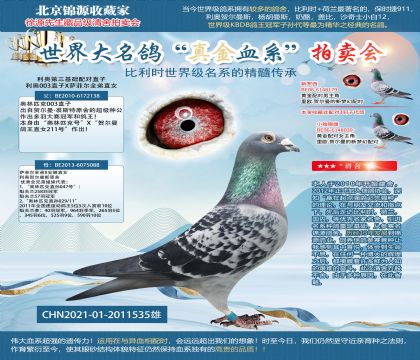 ���µ����������ֱ��21-2011535��