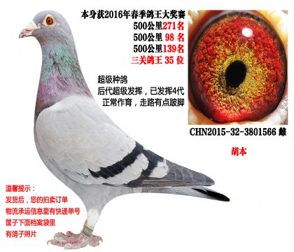 ���ִƣ�����������ӣ���������������35λ