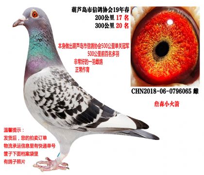 19�괺���ɼ��룬500����ھ�ĸ�ף�ղɭС�����