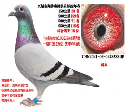 22�괺���ظ���18λ��ͬ�����ظ���24λ��