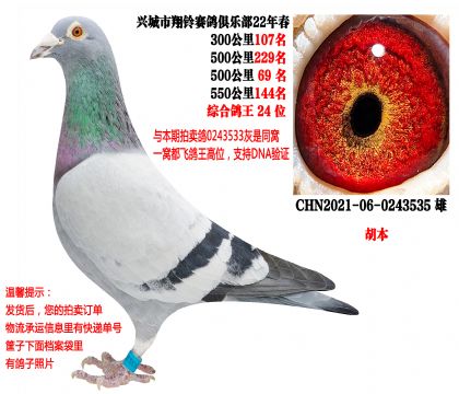 22�괺���ظ���24����ͬ�����ظ���18����