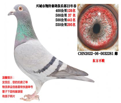 23�괺�Ĺسɼ��룬500����37�����������ܣ�