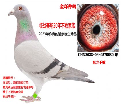 ��ս����û����ļ��壬���ָ루�������ܣ�