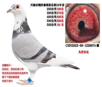 24�괺��سɼ��루���ǲ���-���ض���