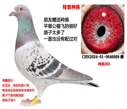 ����003�����幫�ﳬ�����ӣ������ָ룩