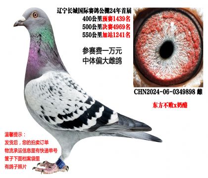 24�곤�ǹ����׽죨������һ�򣩳ɼ��루��������x���ң�