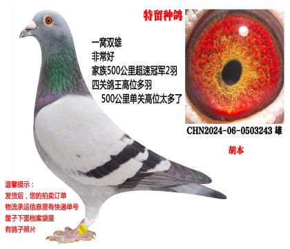 �����ָ룬һ��˫�ۣ����ٹھ��������壩