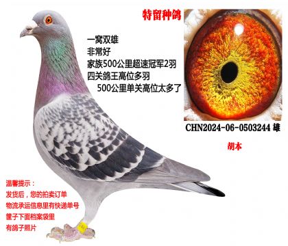 һ��˫�ۣ������ָ루���ٹھ��������壩