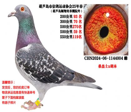 25�괺���500����ɼ��루ɣ��ʿx������